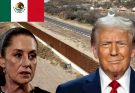 Homan Reveals Why He Decided To Back To Work In Trump’s Second Term