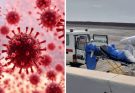 WHO finally issue statement on likelihood of hantavirus becoming the “next covid”