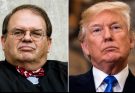 Federal Appeals Court Sacks Trump’s Trans Service Member Ban