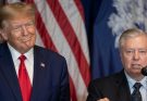Here Who Is Likely To Replace Lindsey Graham – For Now