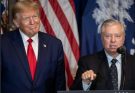 Here Who Is Likely To Replace Lindsey Graham – For Now