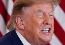 Trump, 80, Screws Up Attempt to Insult Female Fox News Host..