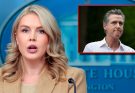 Karoline Leavitt Offers Blunt Advice to Newsom, Calif. Dems: Work With Trump